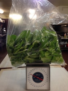 26.3 ounces of lettuce!